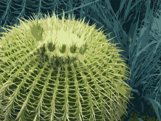 Feelin’ Cactus 01 | Canvas Print