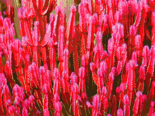 Feelin’ Cactus 03 | Canvas Print