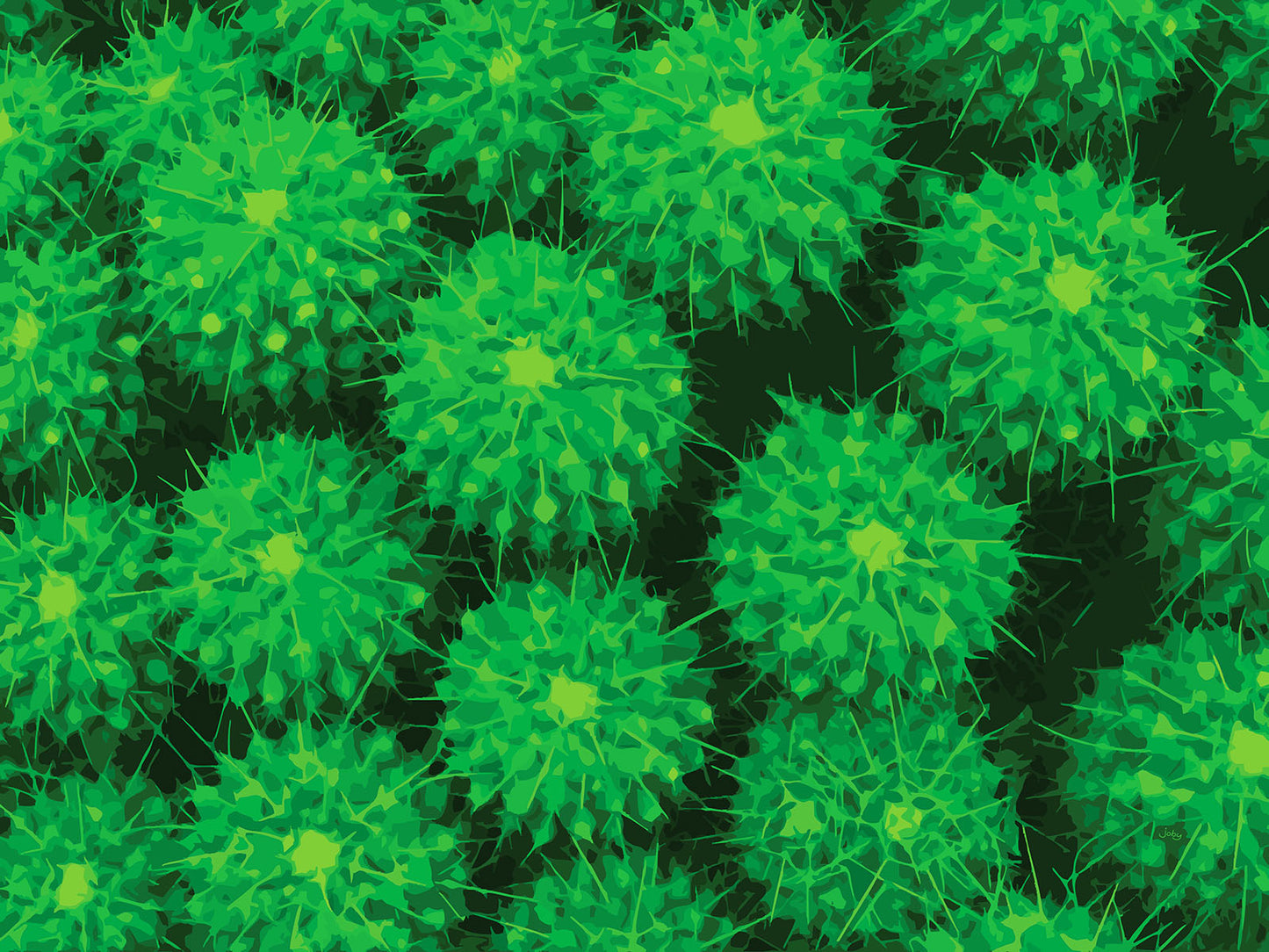 Feelin’ Cactus 06 | Canvas Print