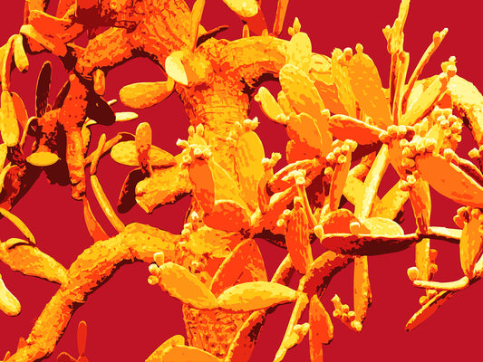 Feelin’ Cactus 09 | Paper Print