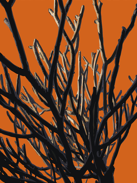 Wild Labyrinth 01 | Canvas Print