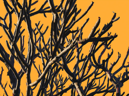 Wild Labyrinth 02 | Canvas Print