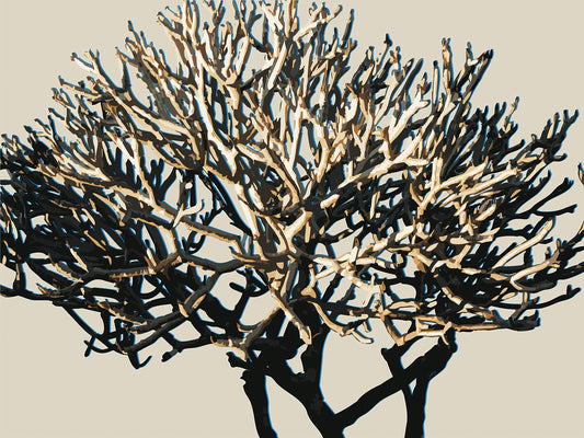 Wild Labyrinth 03 | Paper Print