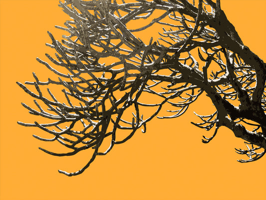 Wild Labyrinth 04 | Paper Print