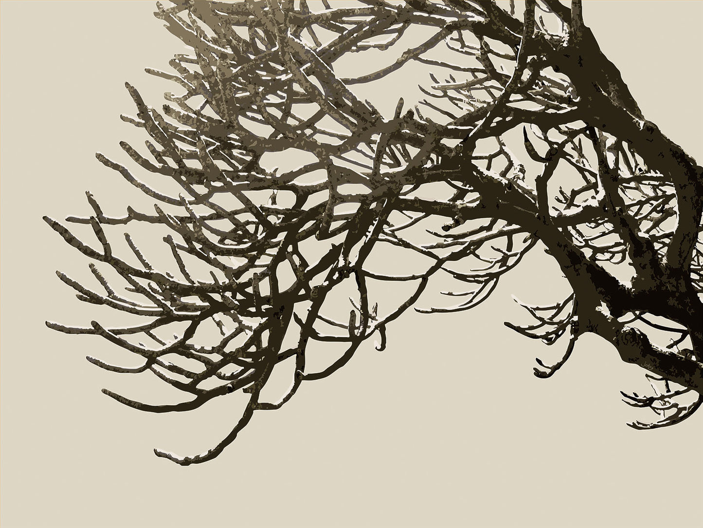 Wild Labyrinth 04 | Paper Print