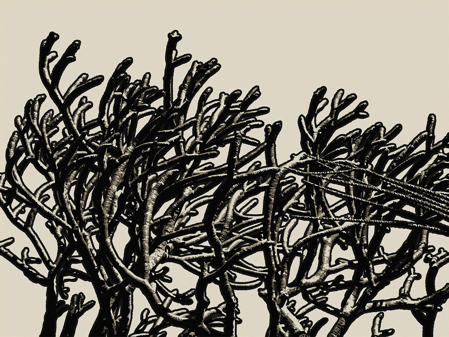 Wild Labyrinth 11 | Paper Print