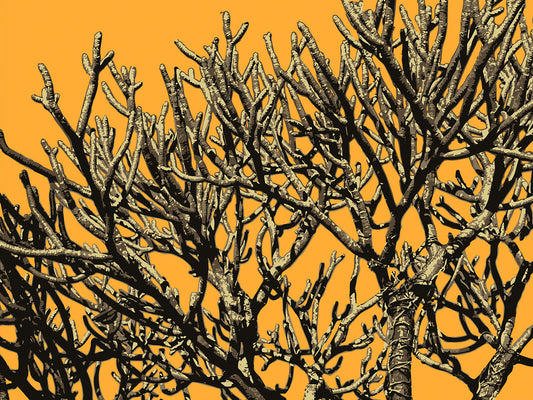 Wild Labyrinth 12 | Canvas Print