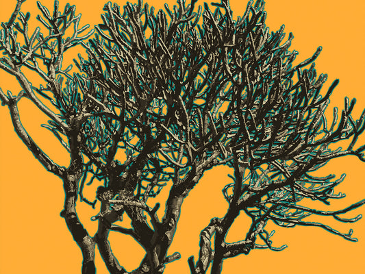 Wild Labyrinth 13 | Paper Print