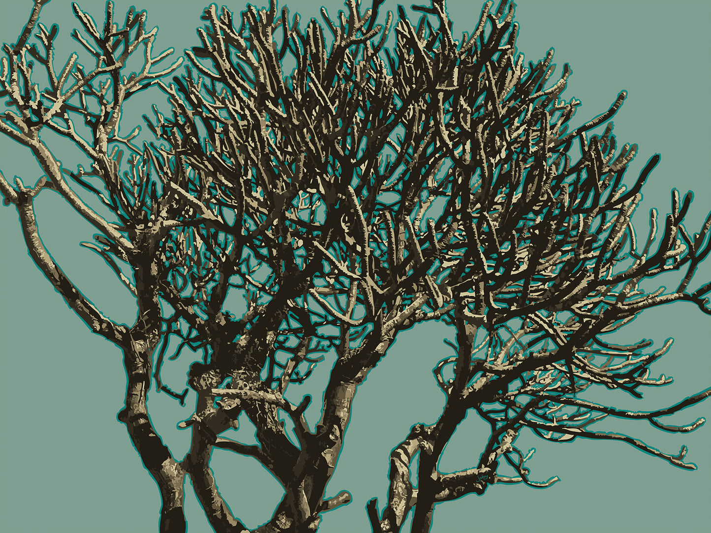 Wild Labyrinth 13 | Paper Print