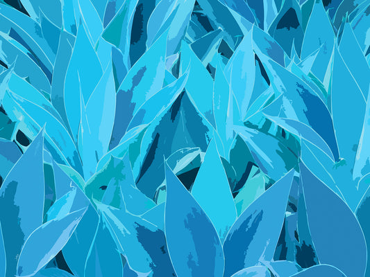 Succulent City 08 | Paper Print