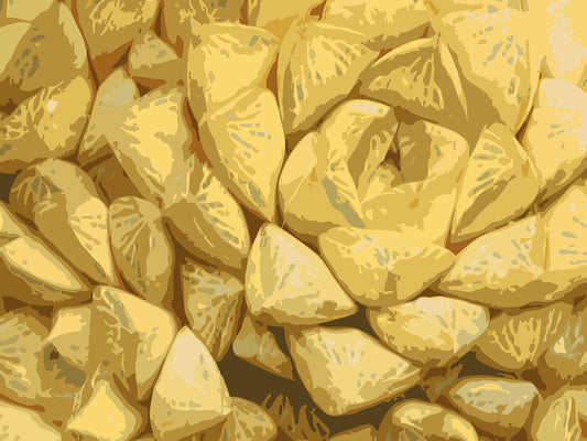 Succulent City 09 | Paper Print