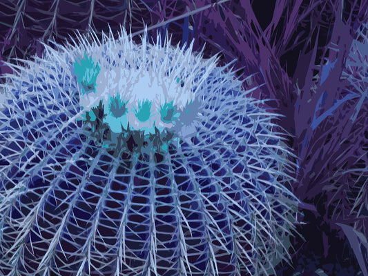 Feelin’ Cactus 01 | Canvas Print