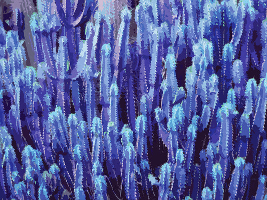 Feelin’ Cactus 03 | Canvas Print