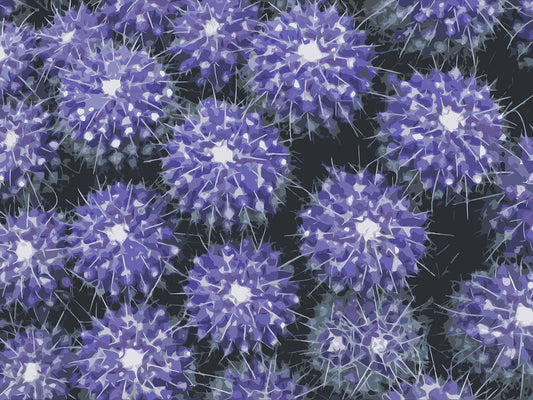 Feelin’ Cactus 06 | Canvas Print