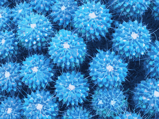 Feelin’ Cactus 06 | Paper Print