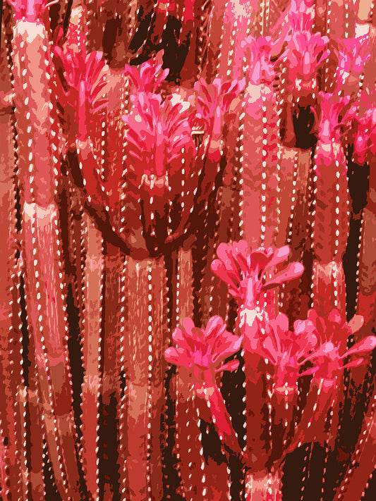 Feelin’ Cactus 08 | Paper Print