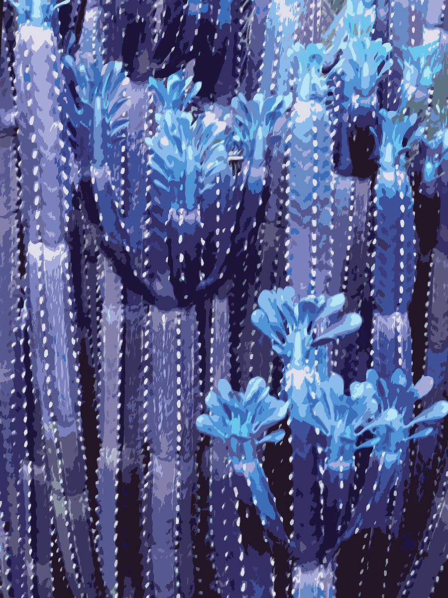 Feelin’ Cactus 08 | Canvas Print