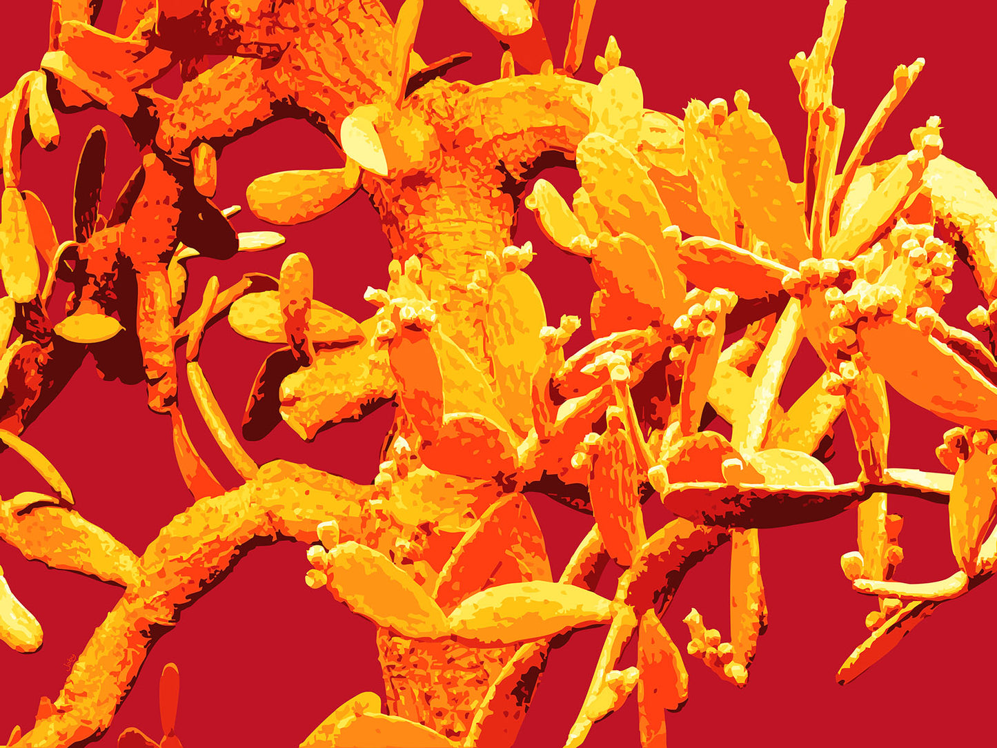 Feelin’ Cactus 09 | Canvas Print