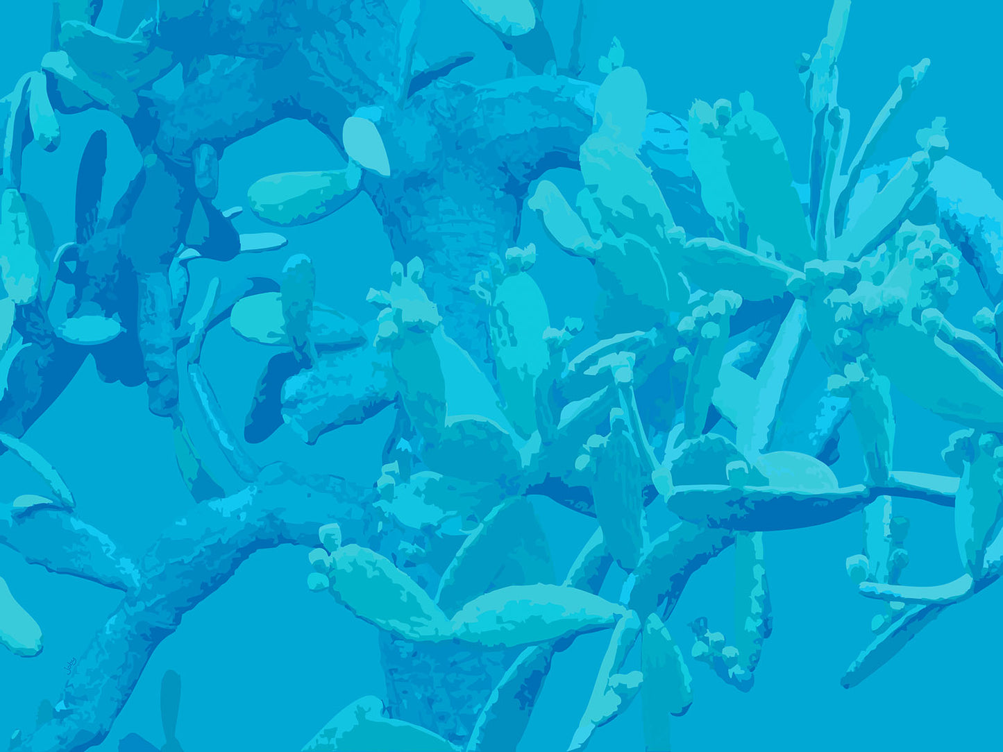 Feelin’ Cactus 09 | Canvas Print