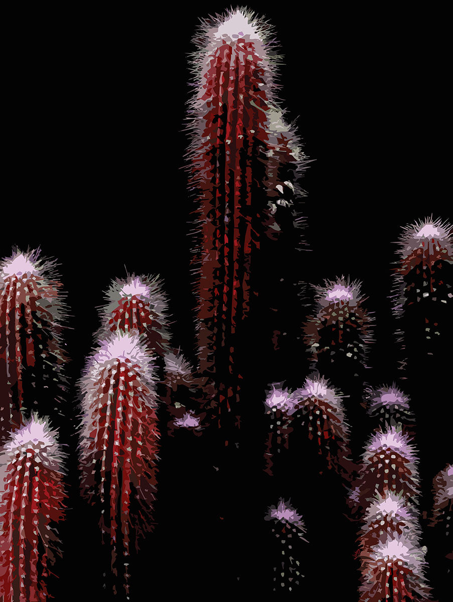 Feelin’ Cactus 10 | Paper Print