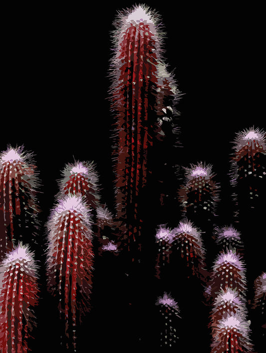 Feelin’ Cactus 10 | Canvas Print