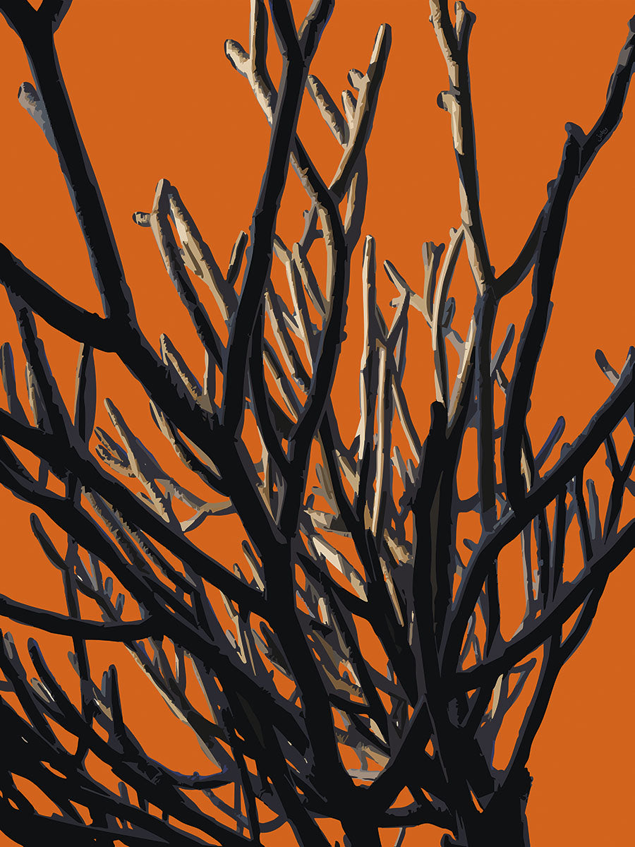 Wild Labyrinth 01 | Paper Print