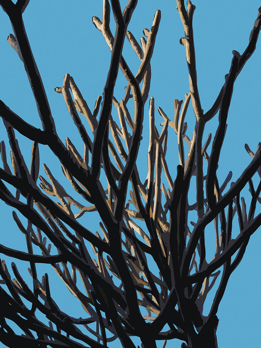 Wild Labyrinth 01 | Paper Print