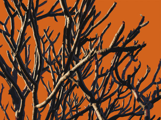 Wild Labyrinth 02 | Canvas Print