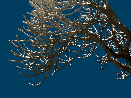 Wild Labyrinth 04 | Paper Print