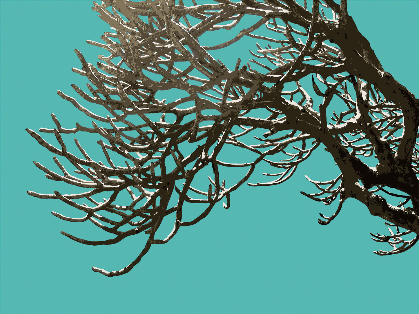 Wild Labyrinth 04 | Paper Print