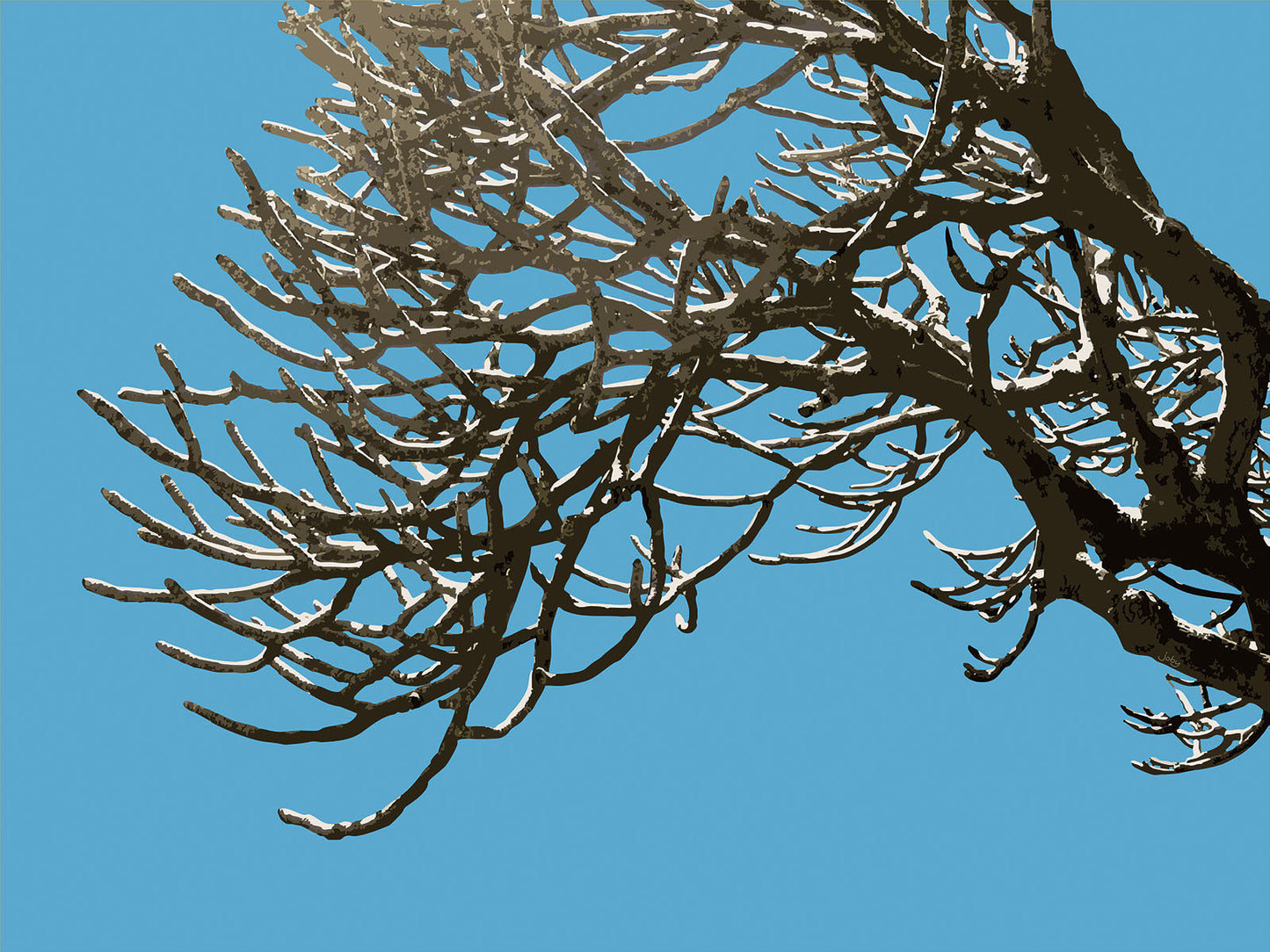 Wild Labyrinth 04 | Paper Print