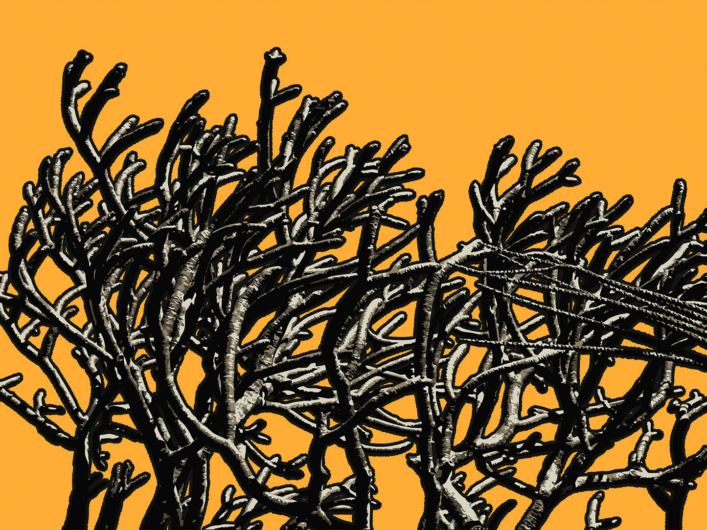 Wild Labyrinth 11 | Paper Print