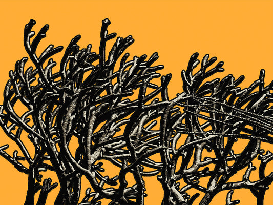 Wild Labyrinth 11 | Paper Print