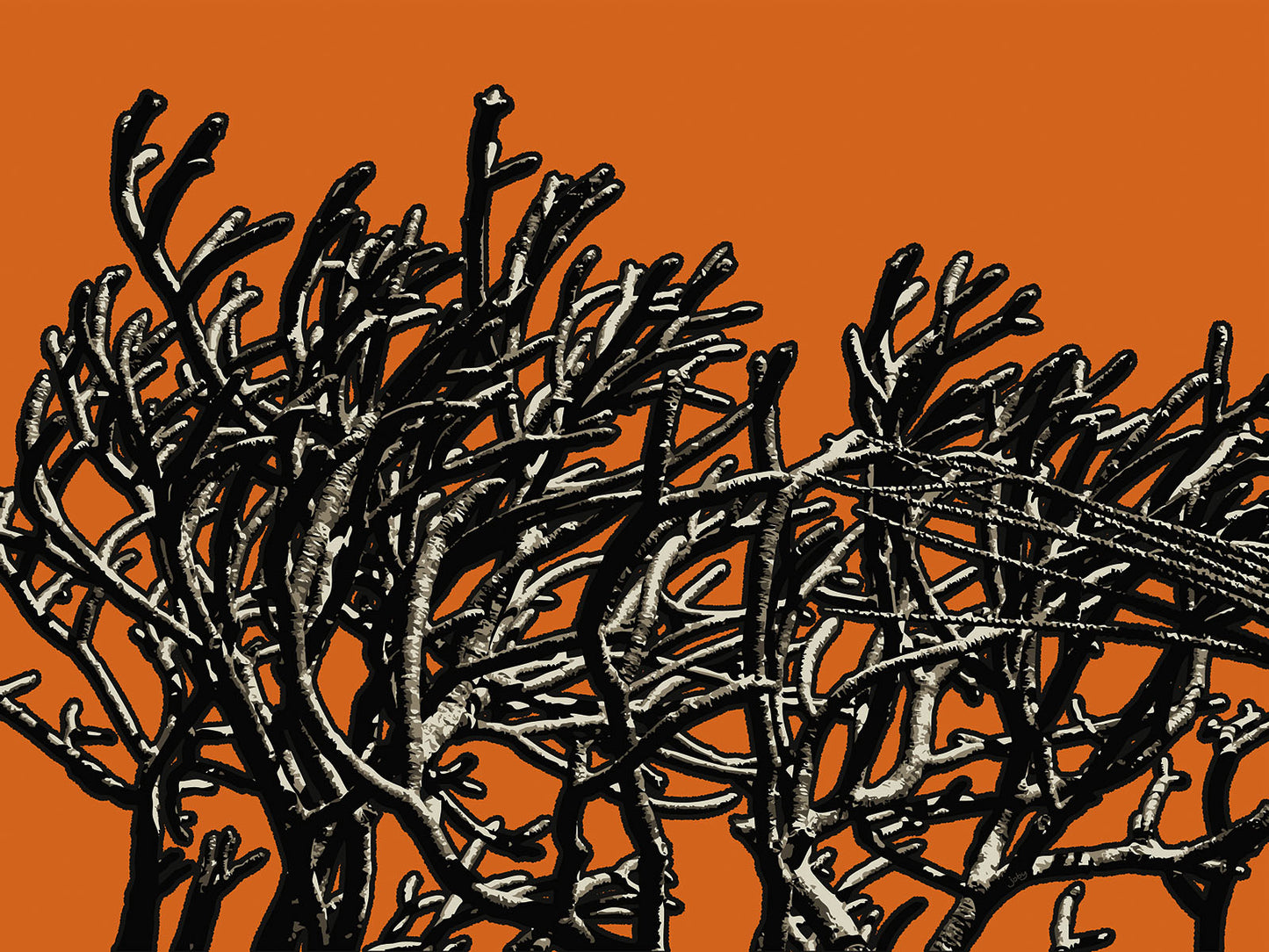 Wild Labyrinth 11 | Paper Print