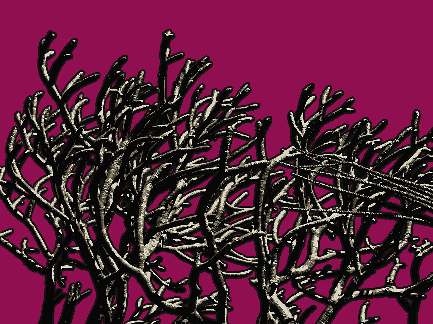 Wild Labyrinth 11 | Paper Print