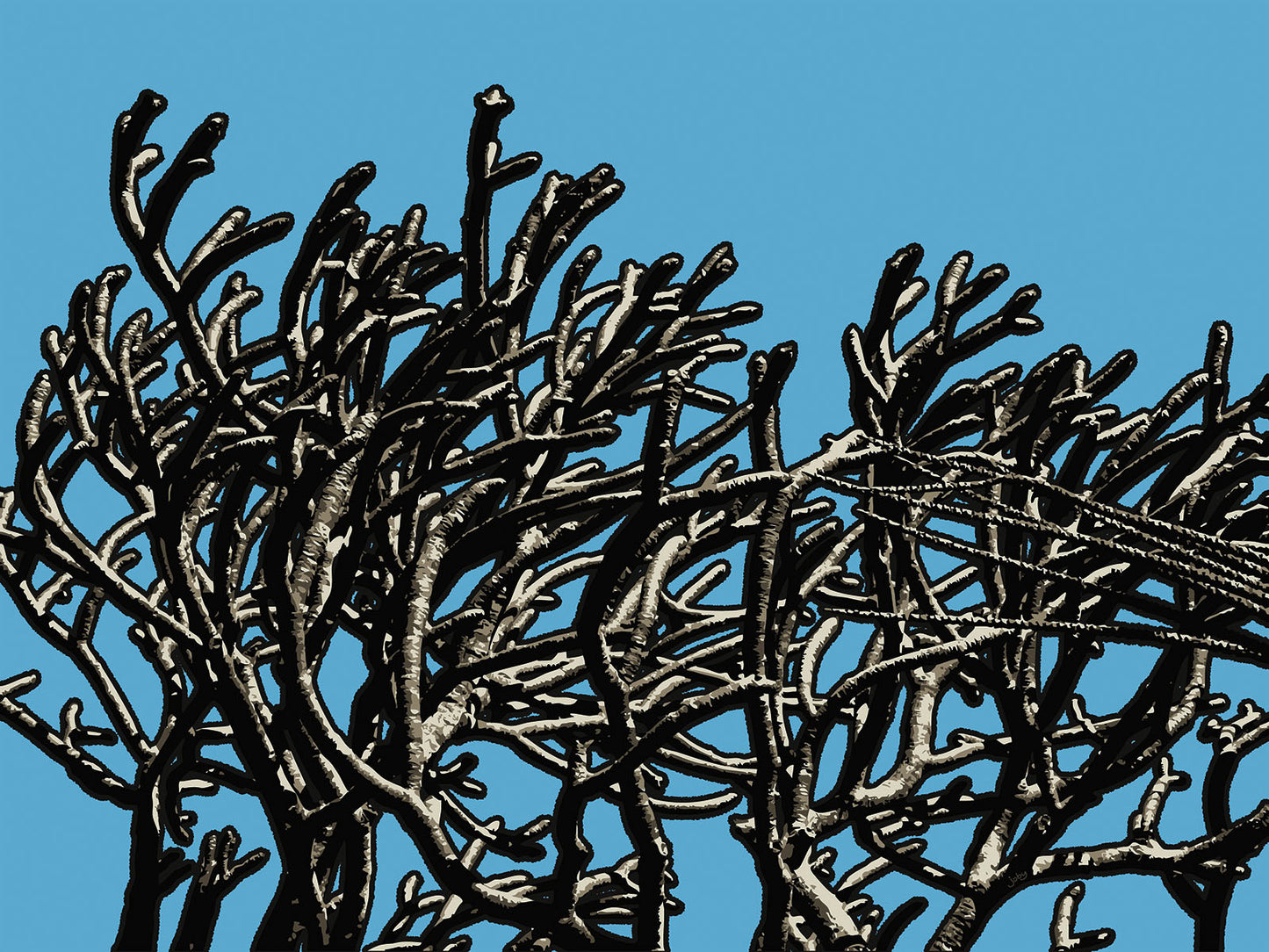 Wild Labyrinth 11 | Paper Print