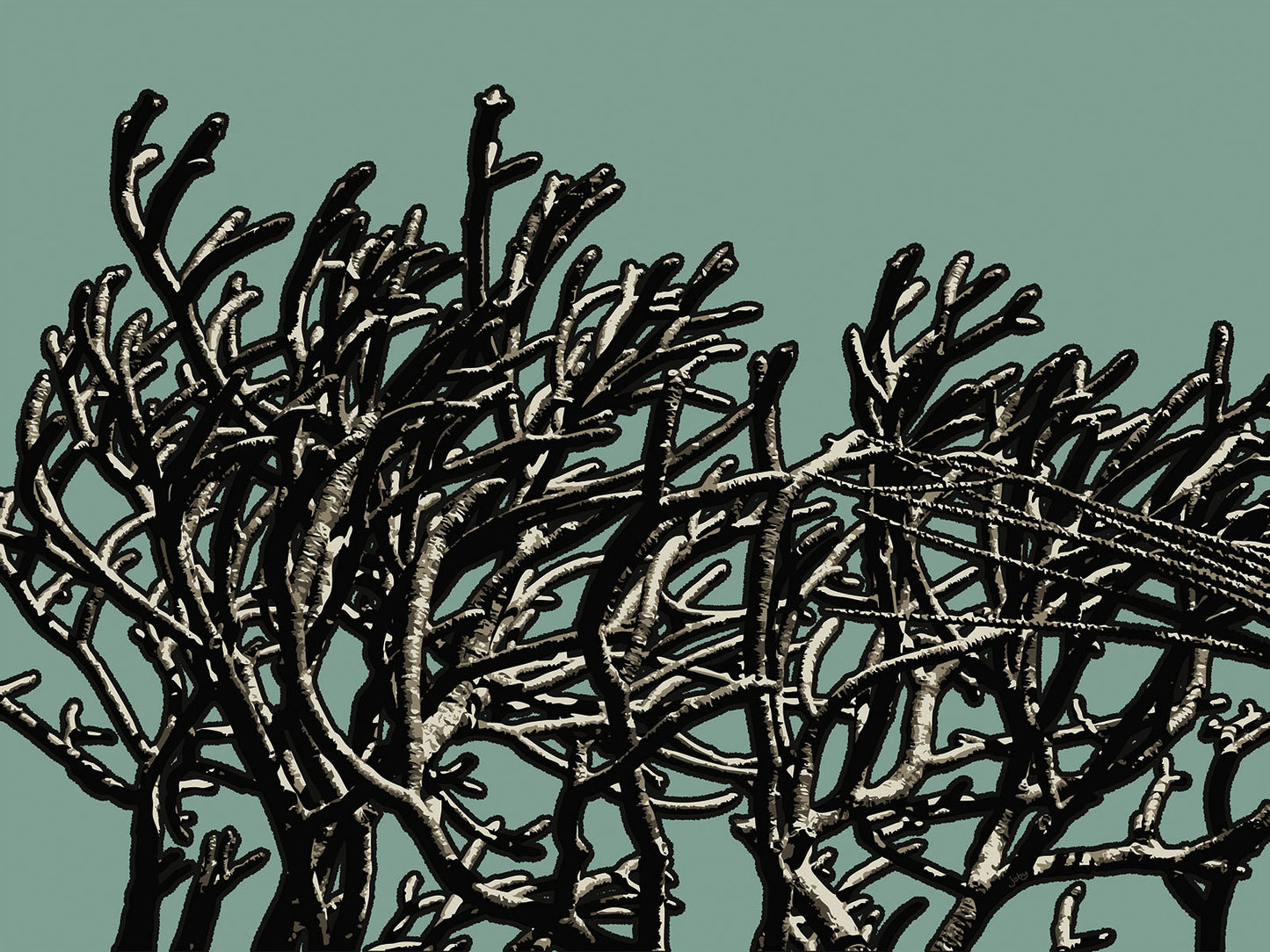 Wild Labyrinth 11 | Paper Print