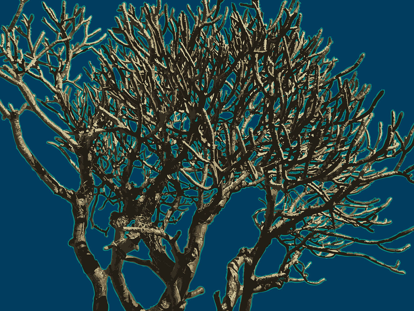 Wild Labyrinth 13 | Paper Print