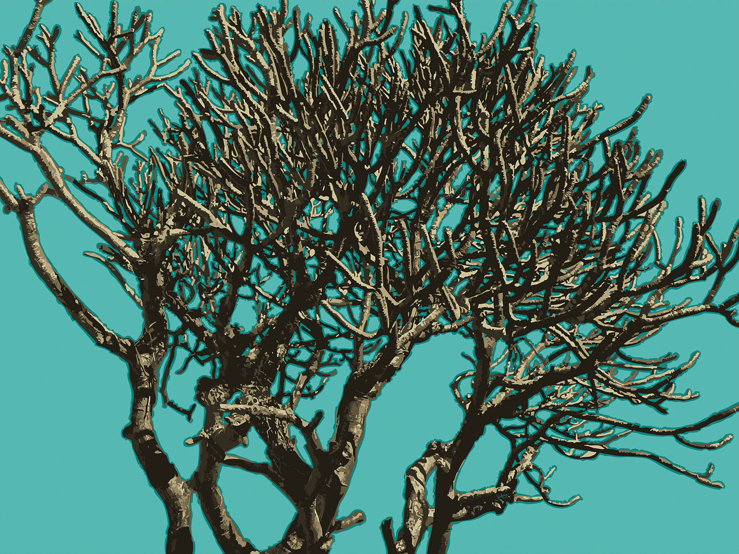 Wild Labyrinth 13 | Paper Print