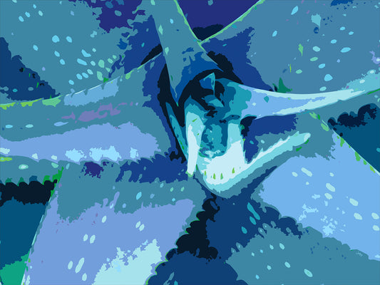 Succulent City 02 | Paper Print