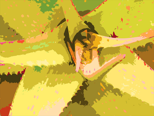 Succulent City 02 | Paper Print