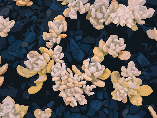 Succulent City 03 | Paper Print