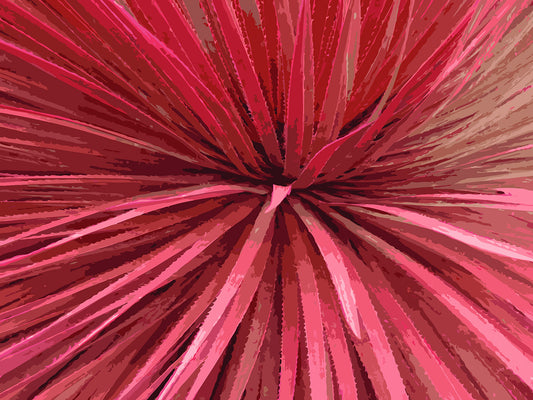 Succulent City 07 | Paper Print