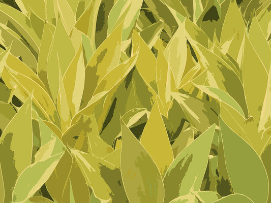 Succulent City 08 | Paper Print