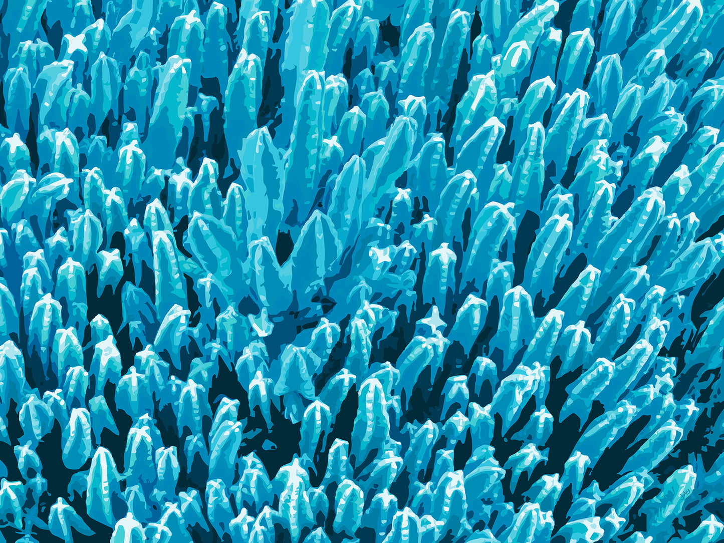 Succulent City 10 | Paper Print