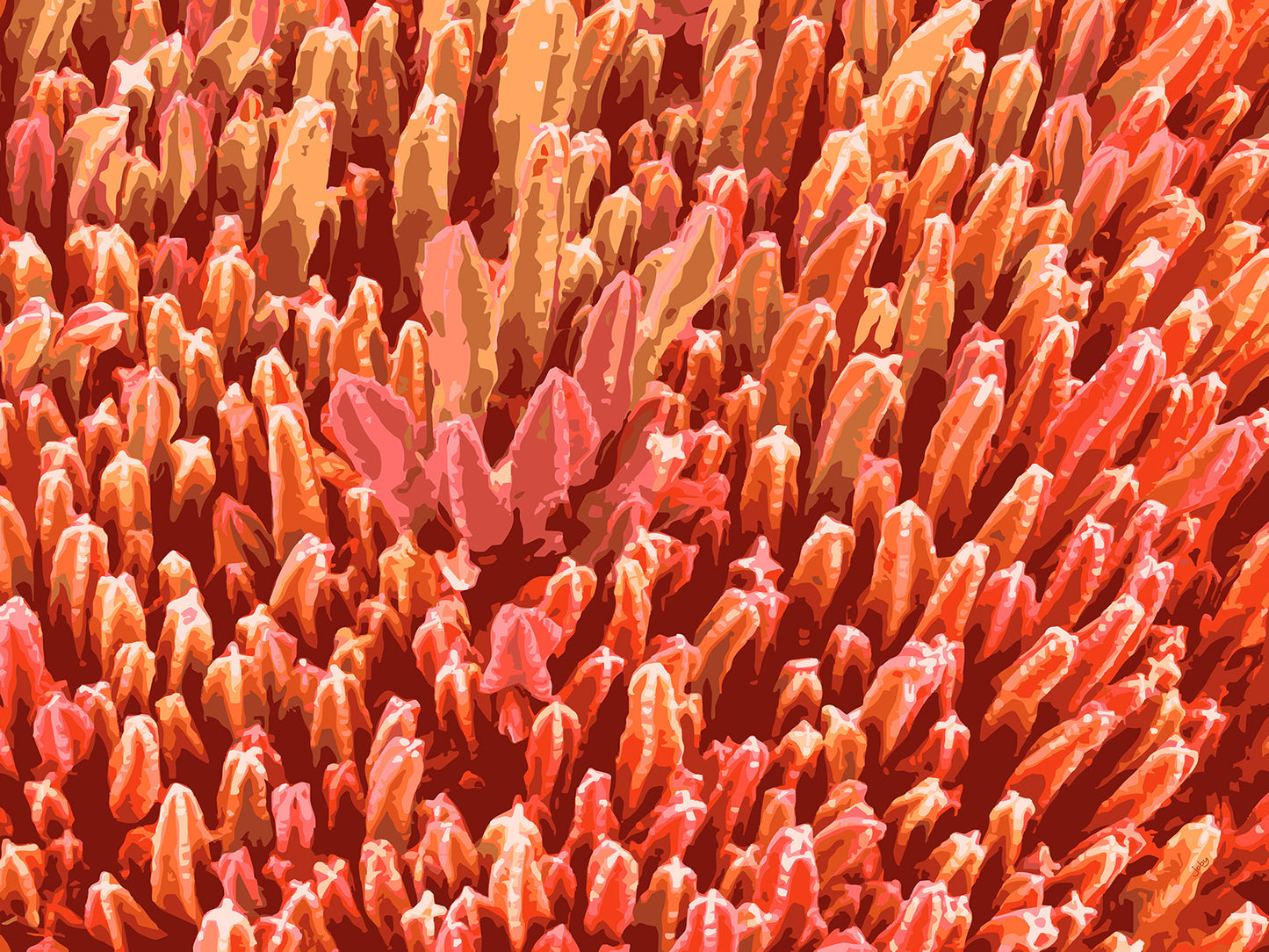 Succulent City 10 | Paper Print