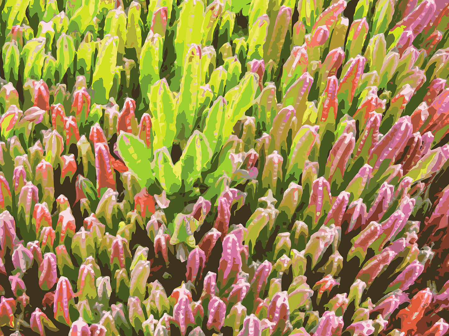 Succulent City 10 | Paper Print