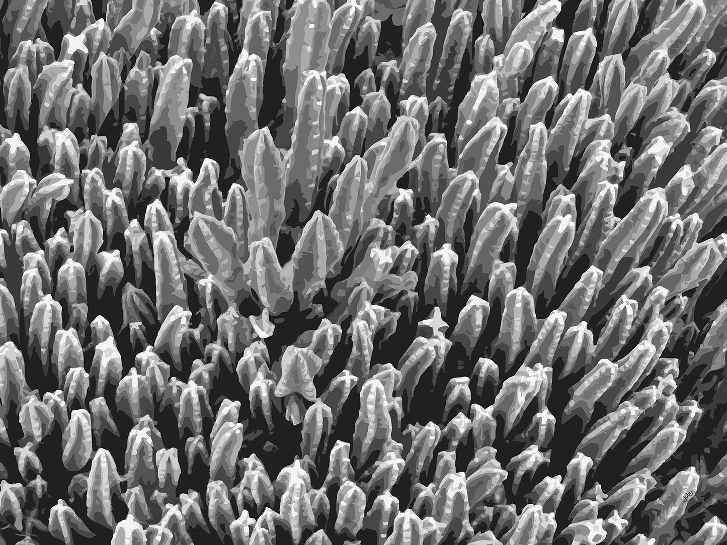 Succulent City 10 | Paper Print